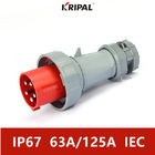 Norma 63A 125A 380V di IEC industriale trifase della spina e dell'incavo di IP67